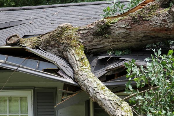 Cost of Storm Remediation in Brick
