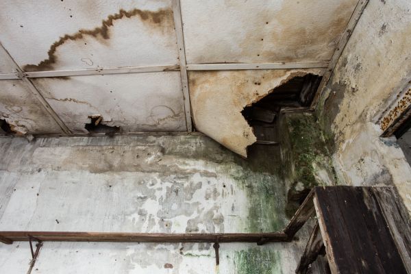 Water Damage Service in Brick