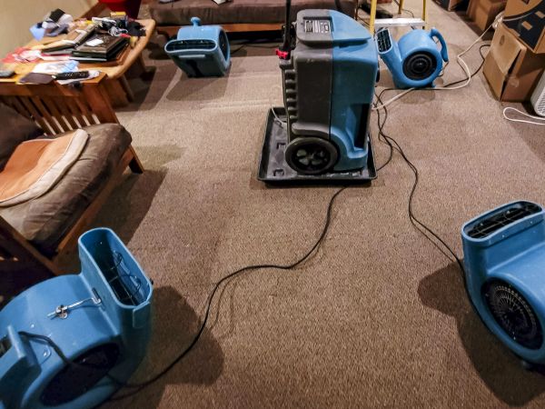 Cost of Flood Damage Recovery in Brick