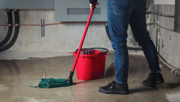 Cost of Flooded Basement Cleanup in Brick