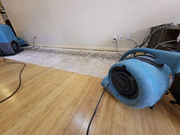 Water Damage Mitigation in Brick