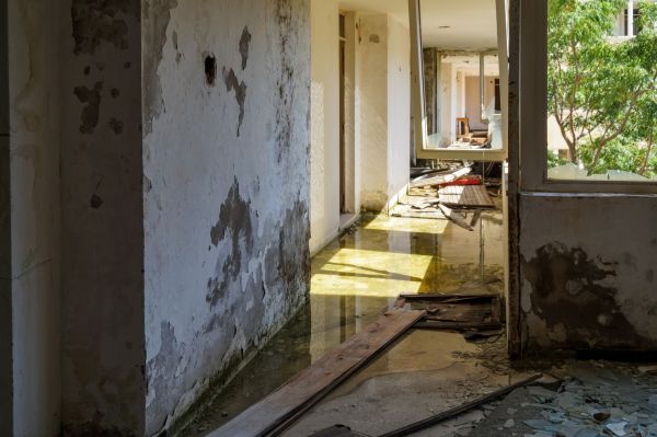 Cost of Water Removal Service in Brick