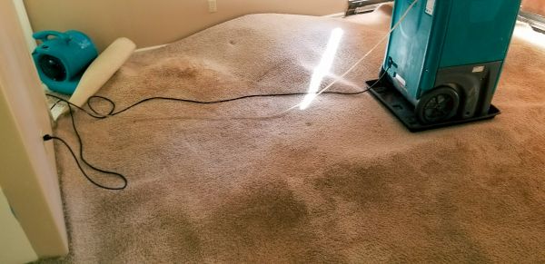 Cost of Carpet Water Extraction in Brick