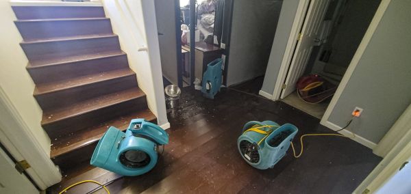 Water Damage Remediation in Brick