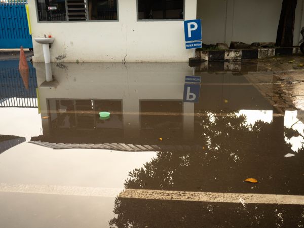 Cost of Storm Damage Repair in Brick