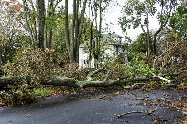 Cost of Tornado Damage Repair in Brick