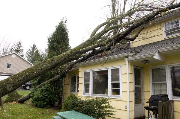 Cost of Hurricane Damage Repair in Brick