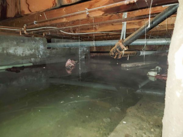 Cost of Crawlspace Water Restoration in Brick